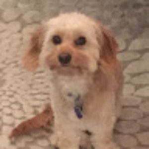 Meet your Posher, Eileen